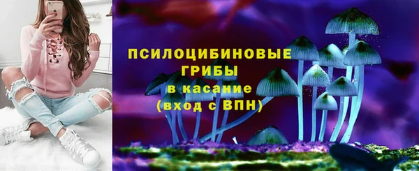 амф Алексин