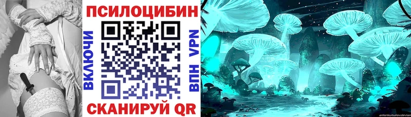 Галлюциногенные грибы GOLDEN TEACHER  магазин продажи   Болгар 