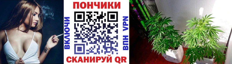 сайты даркнета какой сайт  Болгар  Каннабис Bruce Banner  магазин продажи  